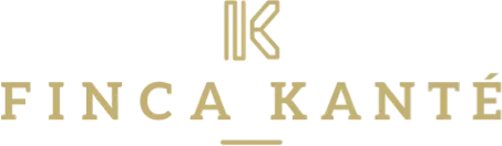 Logo Fitspot